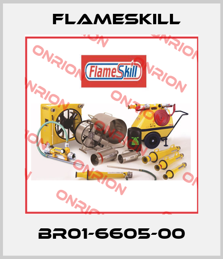 BR01-6605-00 FlameSkill