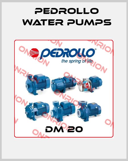 Dm 20 Pedrollo Water Pumps