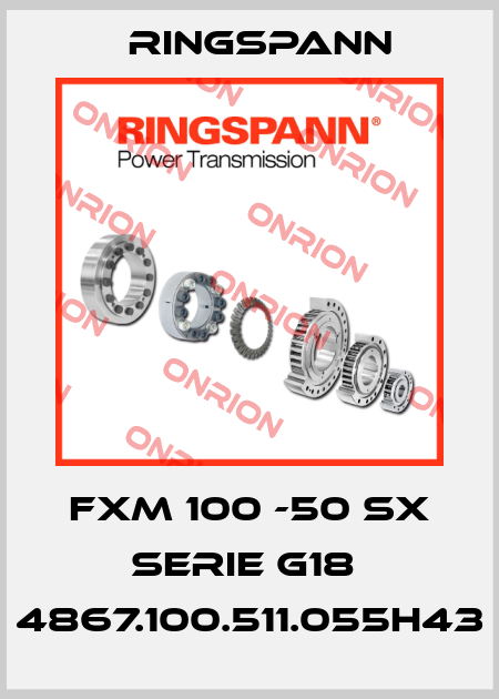FXM 100 -50 SX Serie G18  4867.100.511.055h43 Ringspann