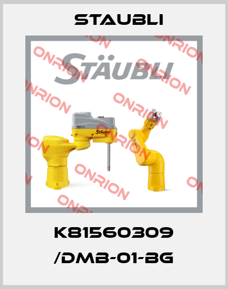 K81560309 /DMB-01-BG Staubli