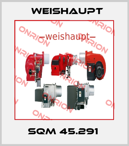 SQM 45.291  Weishaupt
