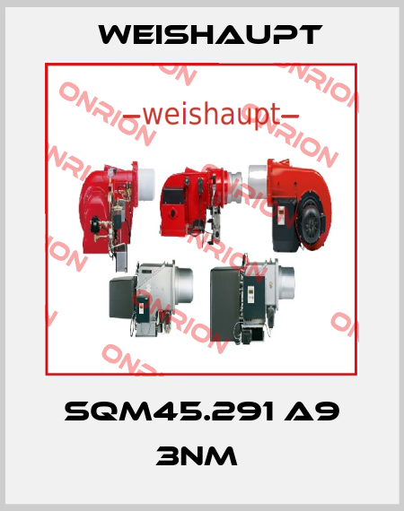 SQM45.291 A9 3NM  Weishaupt