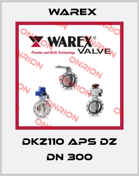 DKZ110 APS DZ DN 300 Warex