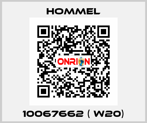 10067662 ( W20) Hommel
