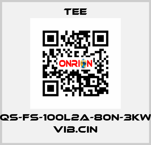 QS-FS-100L2A-80N-3KW VIB.CIN TEE