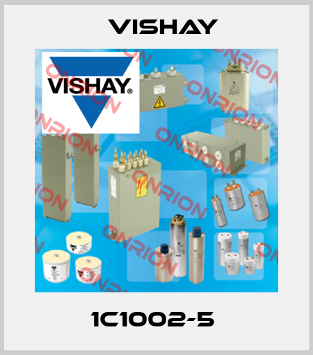 1C1002-5  Vishay