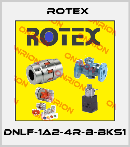 DNLF-1A2-4R-B-BKS1 Rotex