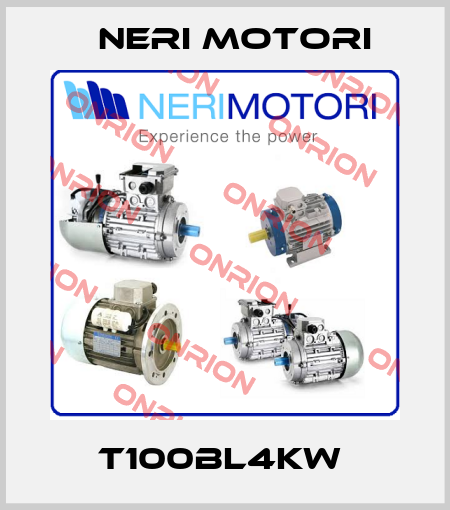 T100BL4KW  Neri Motori