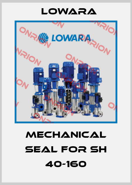 mechanical seal for SH 40-160 Lowara