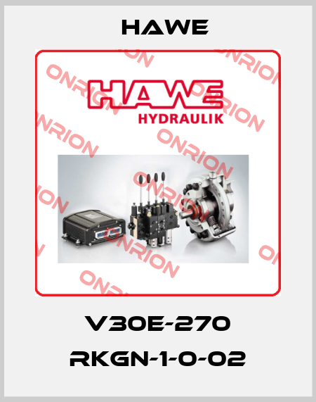 V30E-270 RKGN-1-0-02 Hawe