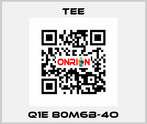 Q1E 80M6B-4O TEE