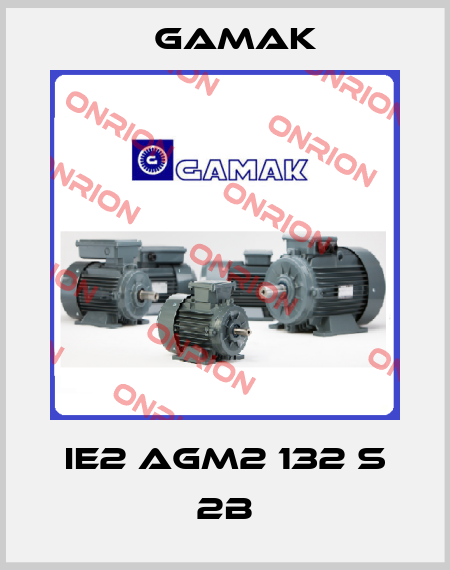 IE2 AGM2 132 S 2B Gamak