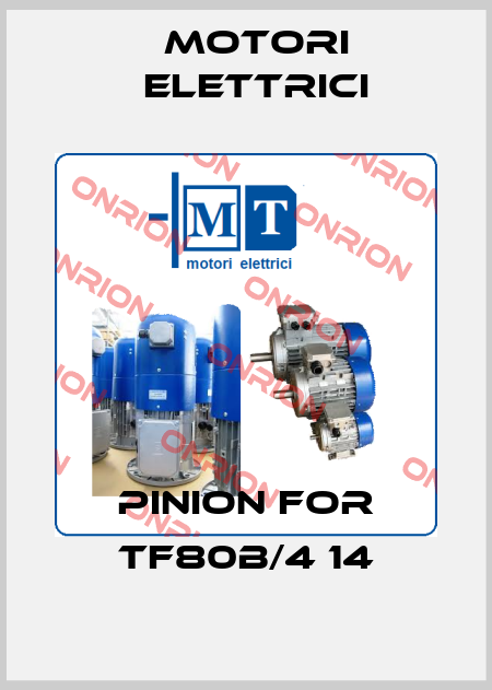 Pinion for TF80B/4 14 Motori Elettrici
