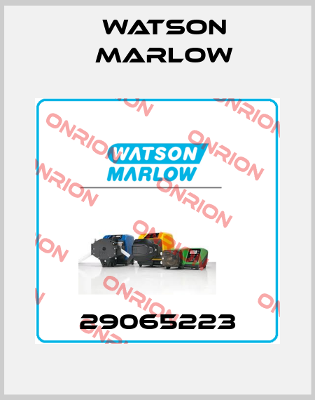 29065223 Watson Marlow