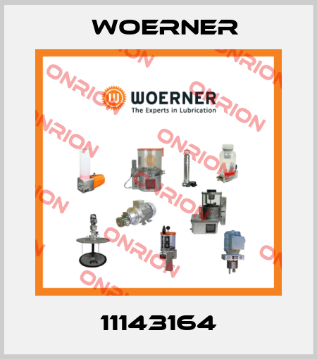 11143164 Woerner