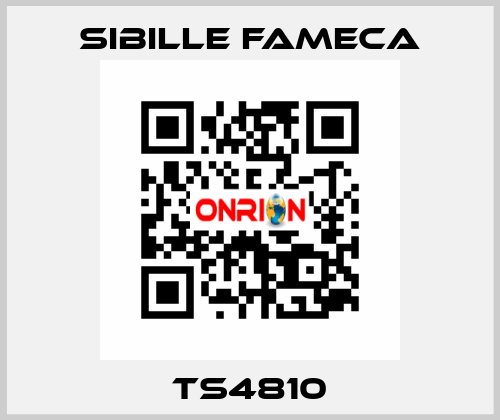 TS4810 Sibille Fameca