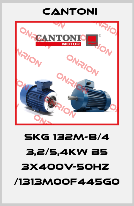 SKG 132M-8/4 3,2/5,4kW B5 3x400V-50Hz  /1313M00F445G0 Cantoni
