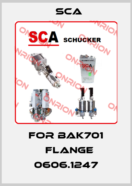 For bAK701 　flange 0606.1247 SCA