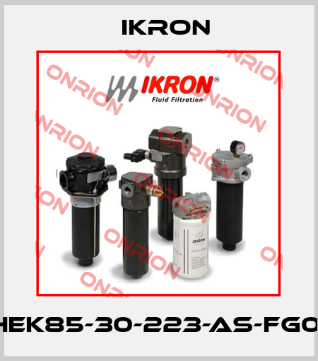 HEK85-30-223-AS-FG01 Ikron