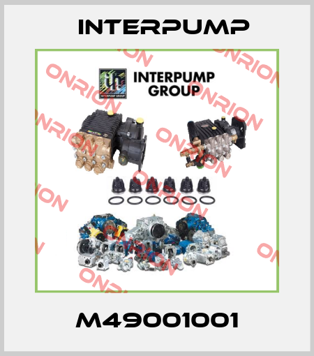 M49001001 Interpump