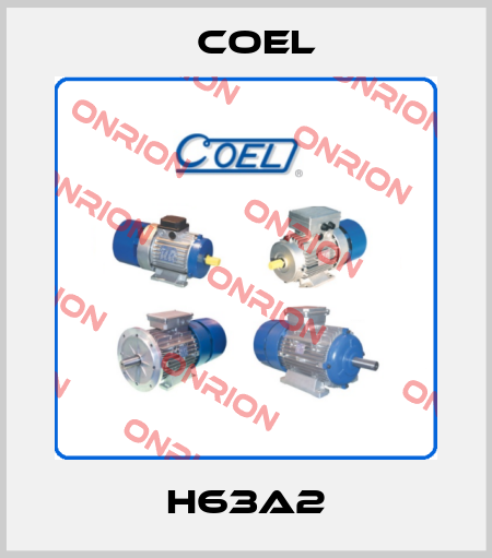 H63A2 Coel