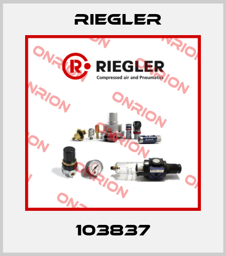 103837 Riegler