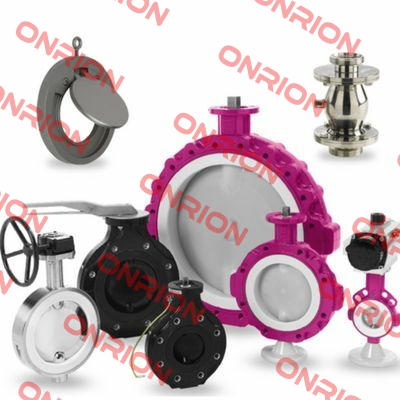 Type DKZ110 DN 80 ( butterfly valve without pneumatic actuator) Warex