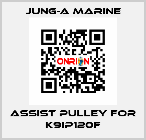 assist pulley for K9IP120F JUNG-A MARINE