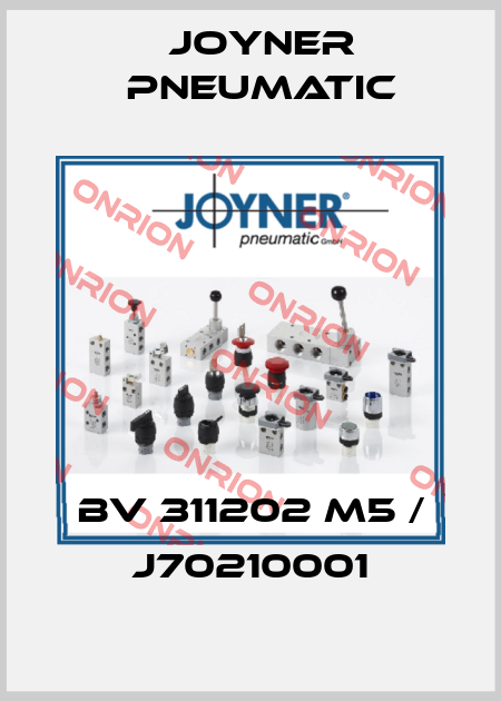BV 311202 M5 / J70210001 Joyner Pneumatic