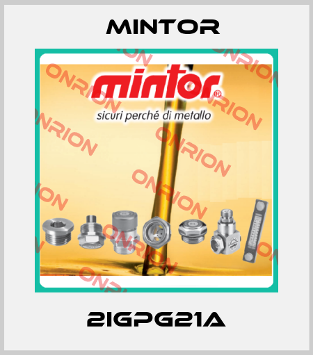 2IGPG21A Mintor
