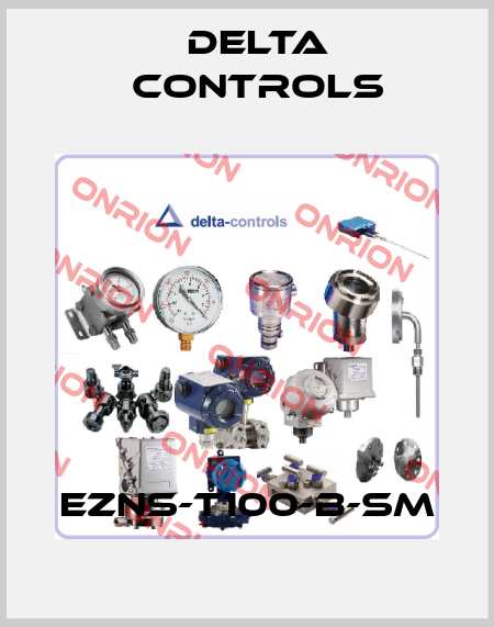 EZNS-T100-B-SM Delta Controls