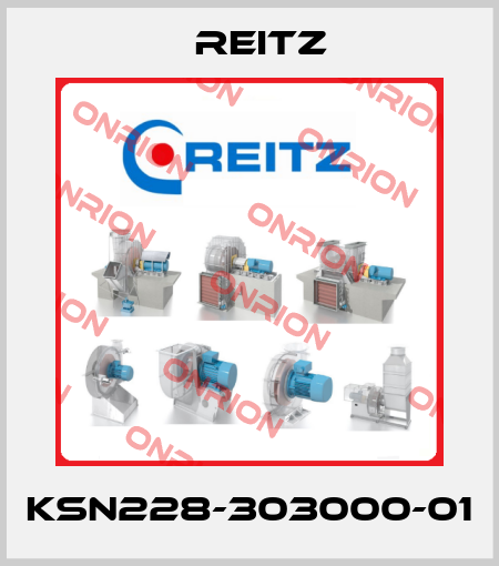 KSN228-303000-01 Reitz
