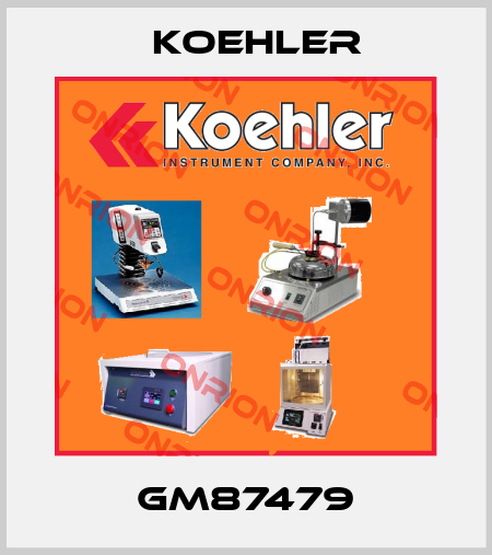 GM87479 Koehler