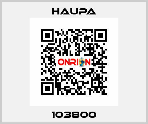 103800 Haupa