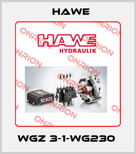 WGZ 3-1-WG230  Hawe