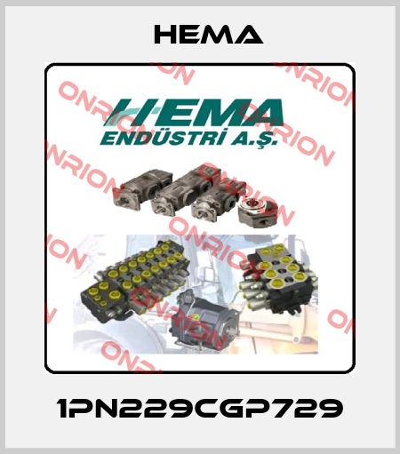 1PN229CGP729 Hema