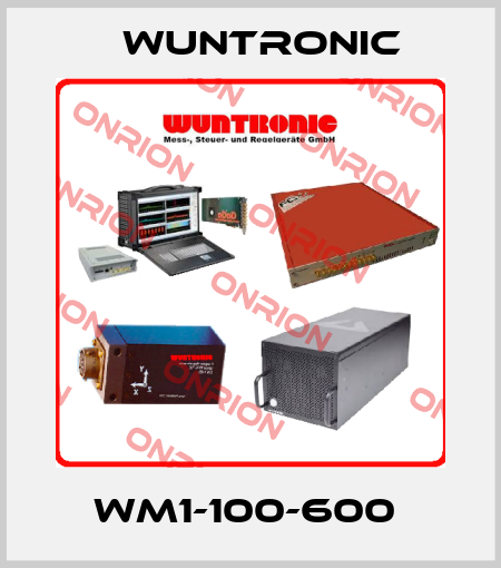 WM1-100-600  Wuntronic