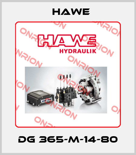 DG 365-M-14-80 Hawe