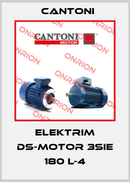 Elektrim DS-Motor 3SIE 180 L-4 Cantoni