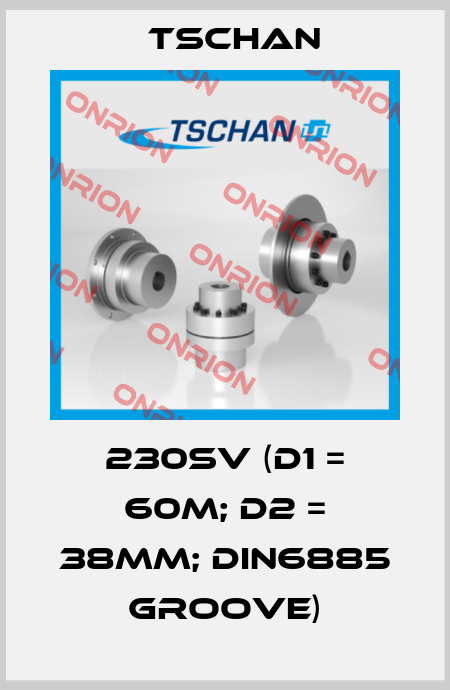 230SV (d1 = 60m; d2 = 38mm; DIN6885 groove) Tschan
