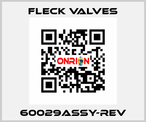 60029ASSY-REV Fleck Valves