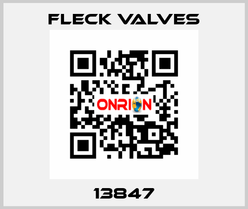 13847 Fleck Valves