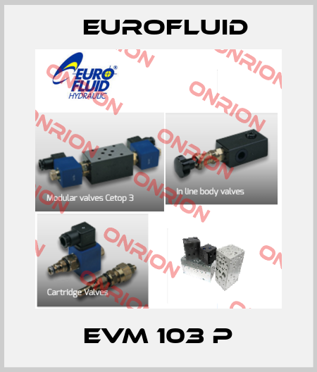 EVM 103 P Eurofluid