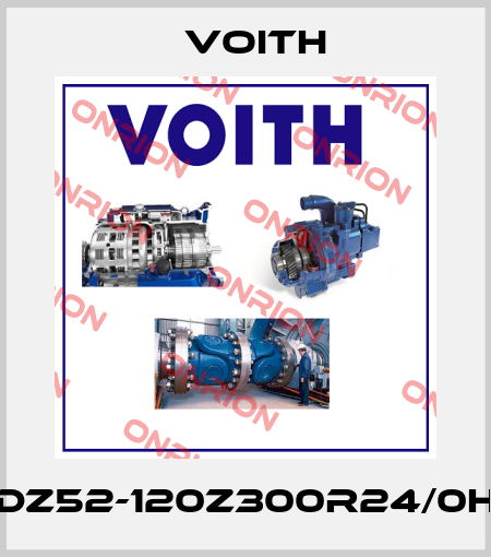 DZ52-120Z300R24/0H Voith