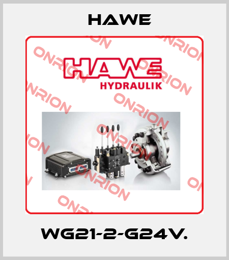 WG21-2-G24V. Hawe