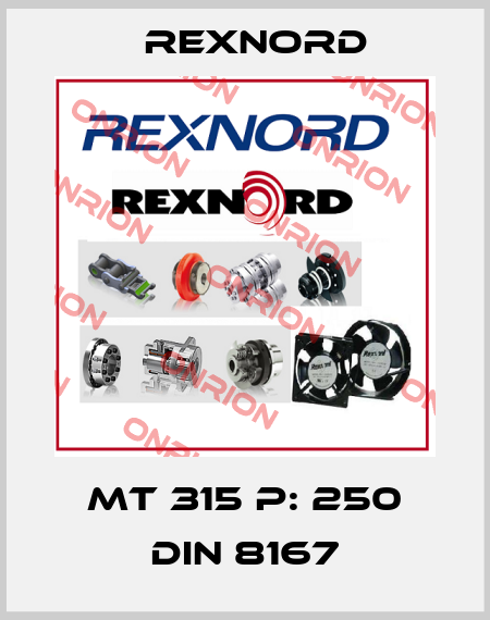 MT 315 P: 250 DIN 8167 Rexnord