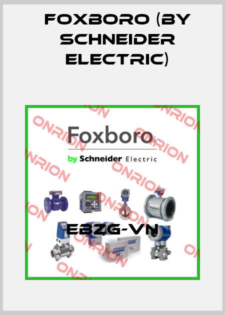 EBZG-VN Foxboro (by Schneider Electric)