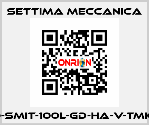 GR40-SMIT-100L-GD-HA-V-TMK-CSM Settima Meccanica