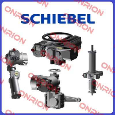 13992 Schiebel