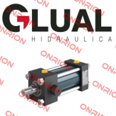 KR-80/45X600-S001-G-1-A-1-10 Glual Hydraulics